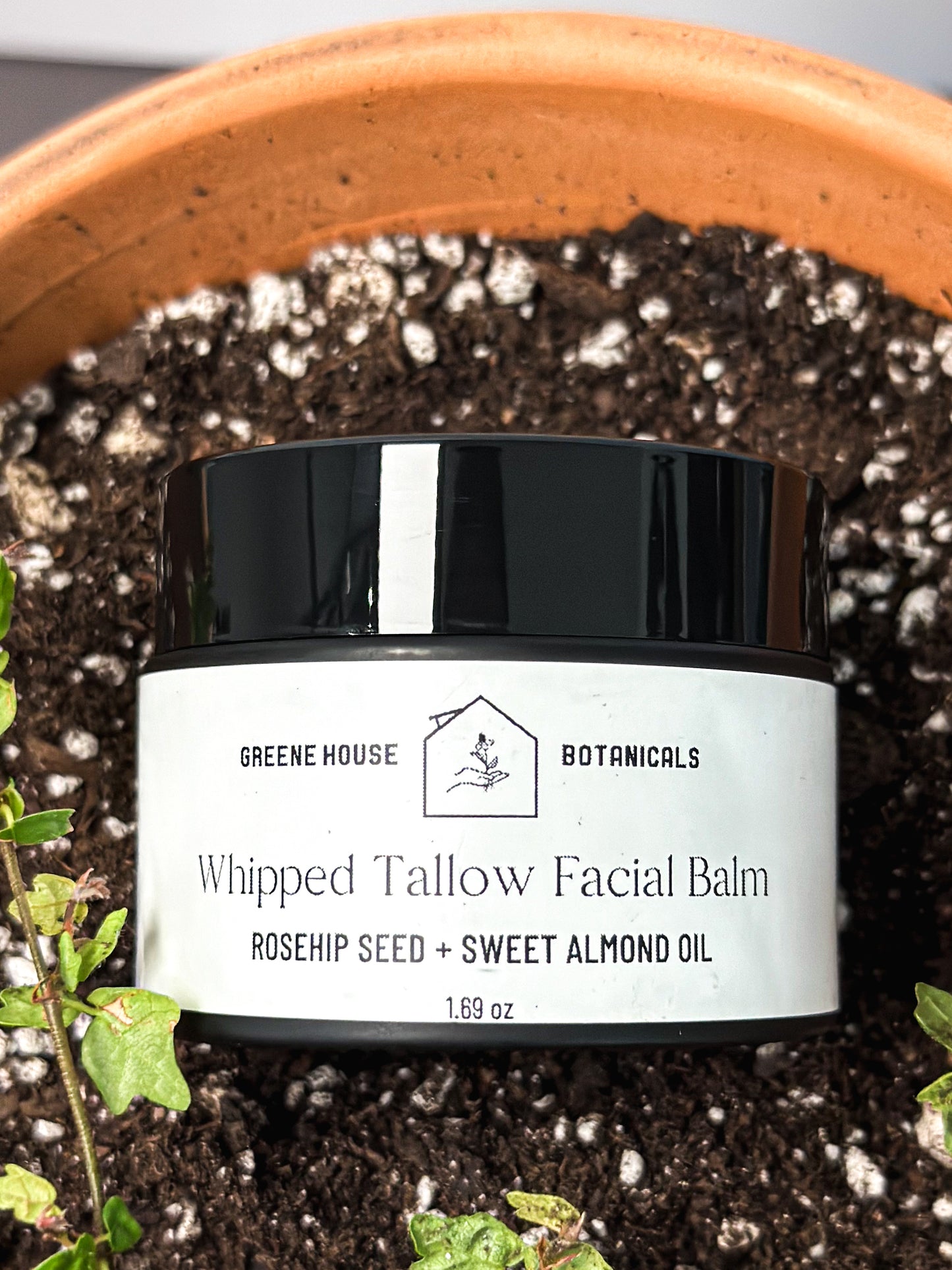Age Embrace Whipped Tallow Balm