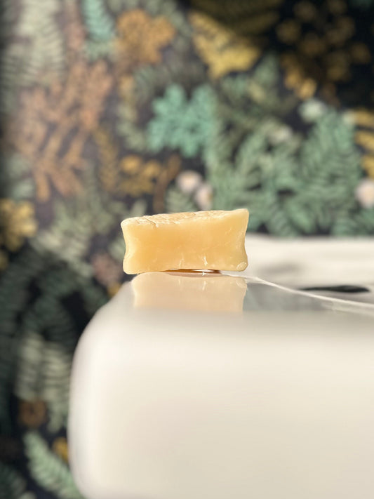 Shampoo + Conditioner Bar Set