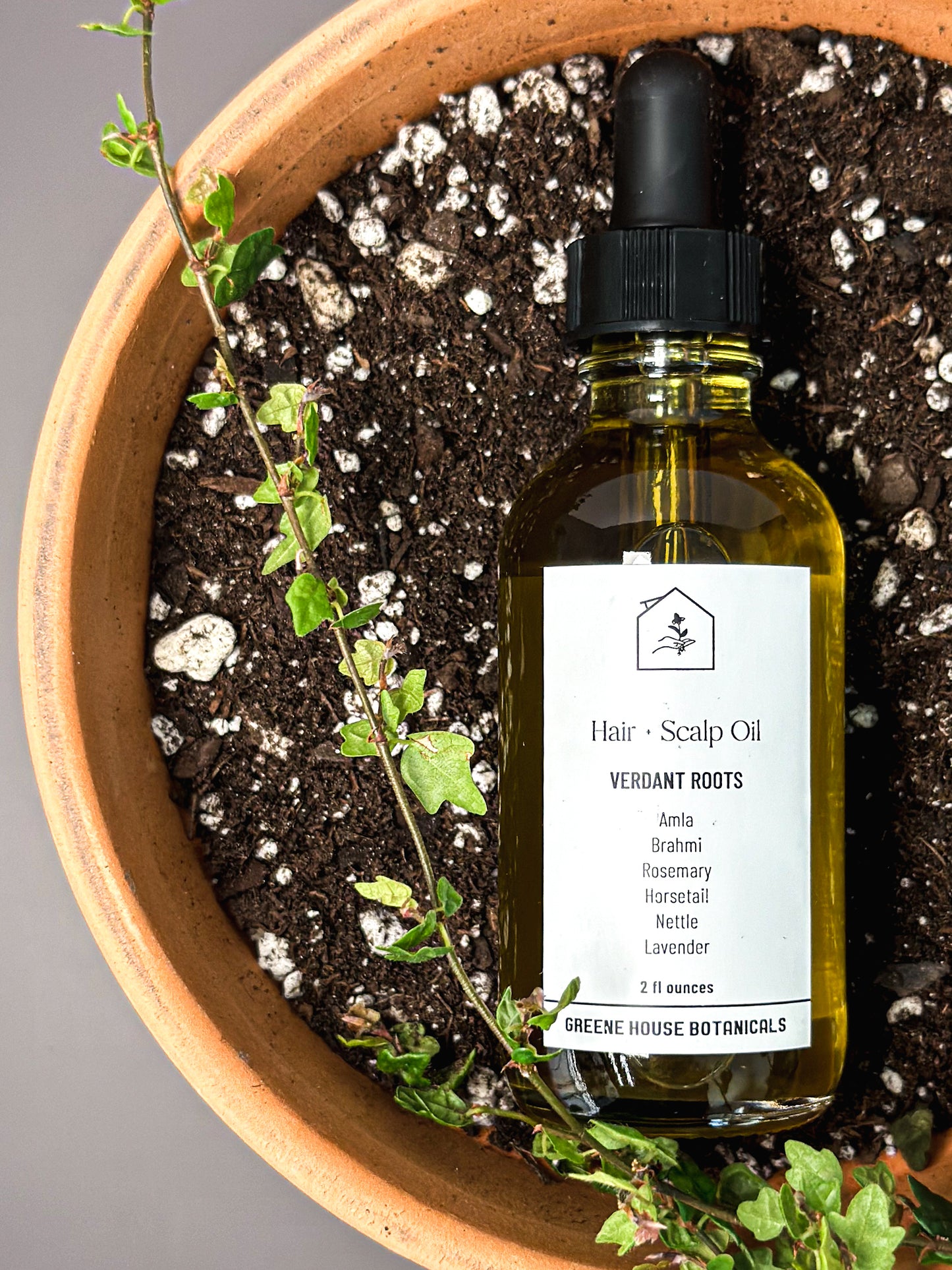 Verdant Roots Hair + Scalp Oil