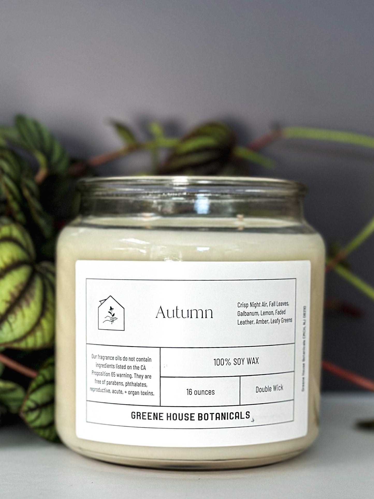 Autumn Soy Candle